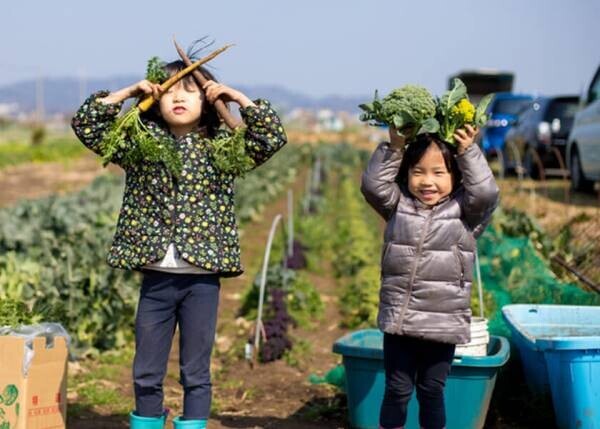 大空、太陽、潮風につつまれながら、圧倒的な絶景を楽しめる365 日誰もが遊び愉しみ尽くせるエンターテイメントパークとして「長井海の手公園 ソレイユの丘」が2023 年 4 月 14 日（金）にリニューアルオープン