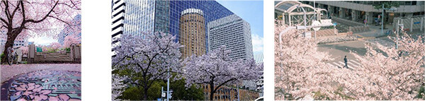 第7回 大阪ダイヤモンド地区 さくらフォトコンテスト2023～梅田の春を写真に残そう～3月20日(月)～4月23日(日)開催