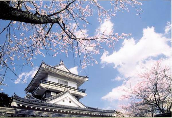 千葉県最後の秘境奥房総の老舗旅館「亀山温泉ホテル」が地元のローカル線応援プロジェクトを開始！
