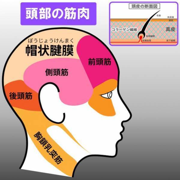 応援購入金額7日で180万円＆300名様達成！リラックスヘッドスパ「至福づつみ」Makuake先行予約販売中