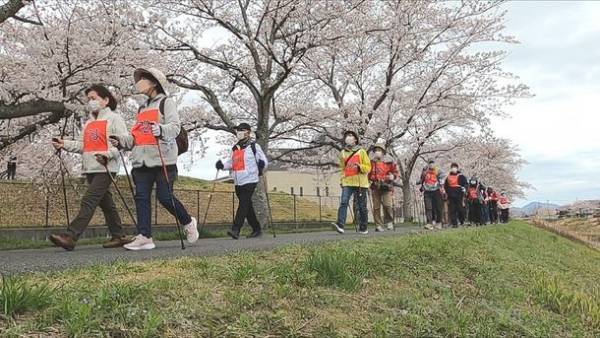 兵庫県三田市「三田さくら物語」　桜の見られるまちを次世代に伝えるためのクラウドファンディングが3月30日までと締め切り迫る！