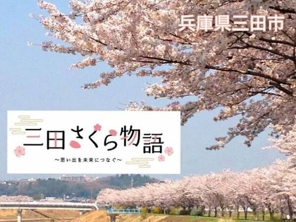 兵庫県三田市「三田さくら物語」　桜の見られるまちを次世代に伝えるためのクラウドファンディングが3月30日までと締め切り迫る！