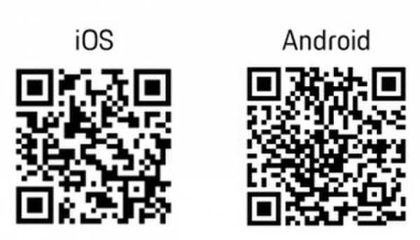 JMDC、マイナポータルの医療保険情報を連携可能な個人向けPHRアプリ「ReCOELL(レコエル)」をリリース