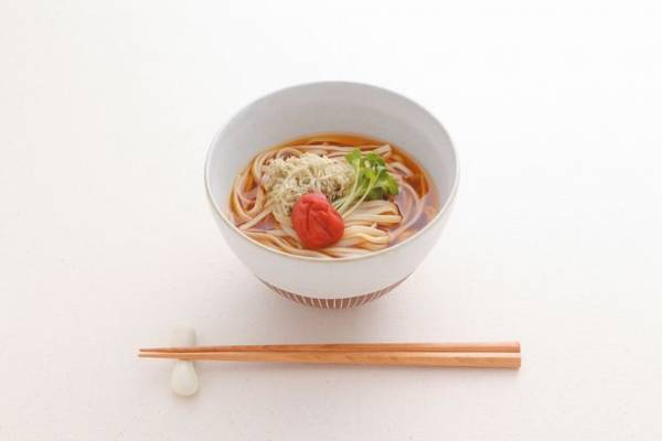 国産玄米を100％使用した人気のグルテンフリー麺『玄米麺』シリーズが4月1日にリニューアル　麺を改良し歯切れのよい本格的な食感に！