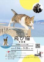 郵政博物館で開催中の「飛び猫写真展」が3月16日(木)時点で来場者数15,000人を突破！
