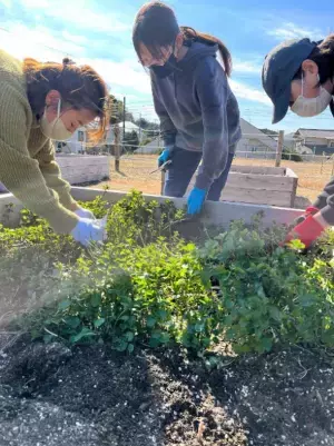 千葉県市原市のIoTシェアリング農園「Kronosfarm」　無料参加／手ぶらでOKな無料体験会を3月に実施
