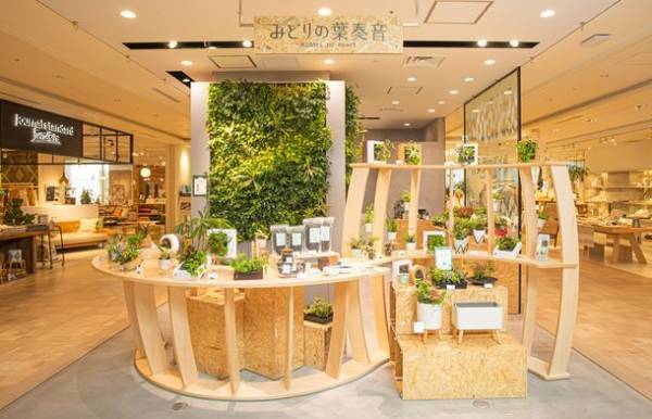 みどりの葉奏音×ほぼ日　『生活のたのしみ展2023』に〈土を使わない植物のお店〉出店　GWの4月29日(土)～5月5日(金・祝) 新宿住友ビル三角広場にて