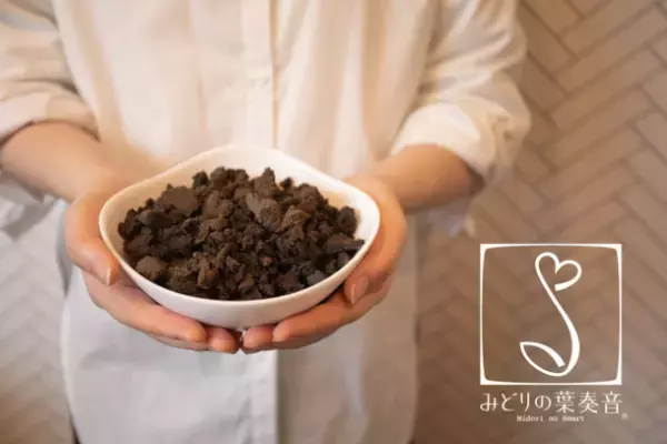 みどりの葉奏音×ほぼ日　『生活のたのしみ展2023』に〈土を使わない植物のお店〉出店　GWの4月29日(土)～5月5日(金・祝) 新宿住友ビル三角広場にて