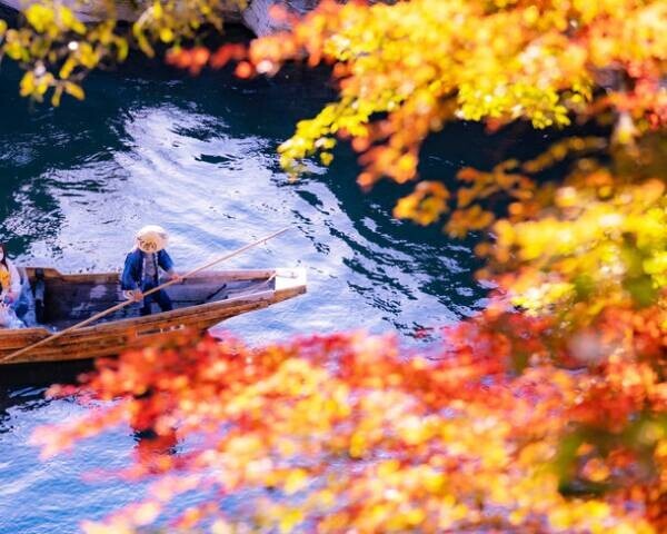 お花見シーズンに約三千本の桜を楽しめる埼玉・長瀞で長瀞ラインくだりの運航が今年もスタート！