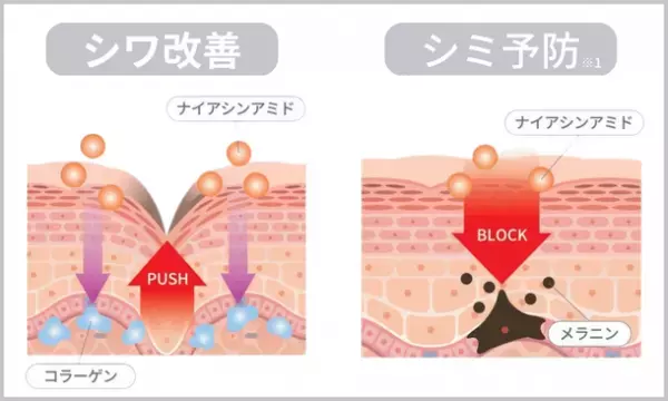 エステティシャン 高橋ミカ開発“シワ改善・シミ予防※クリーム”　医薬部外品【メディリンクルモイスチャークリーム】を3月20日より発売開始