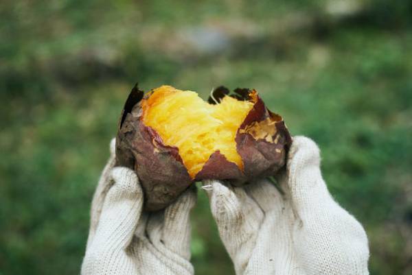 京都美山の魅力を発信！レトロな空間の食のセレクトショップ「里のごほうび みやま堂」が3月21日(火・祝)GRAND OPEN