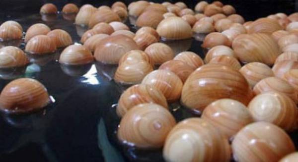 沖縄の「暮らしの発酵ライフスタイルリゾート」で家族で楽しめる「GWフェア」を開催！