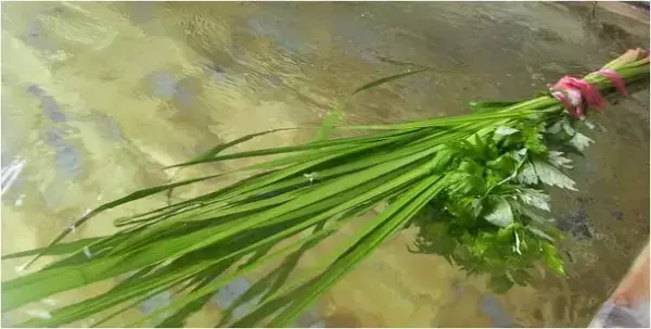 沖縄の「暮らしの発酵ライフスタイルリゾート」で家族で楽しめる「GWフェア」を開催！