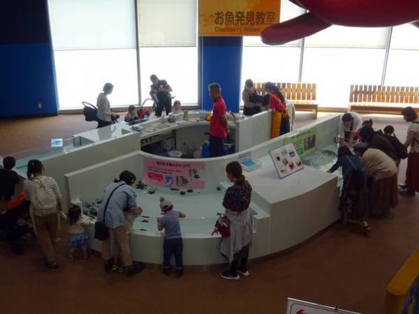 約580種68,000点の生き物たちとの春の素敵な出会いを体感！サメの飼育種類数日本一のアクアワールド・大洗で新プログラム開催