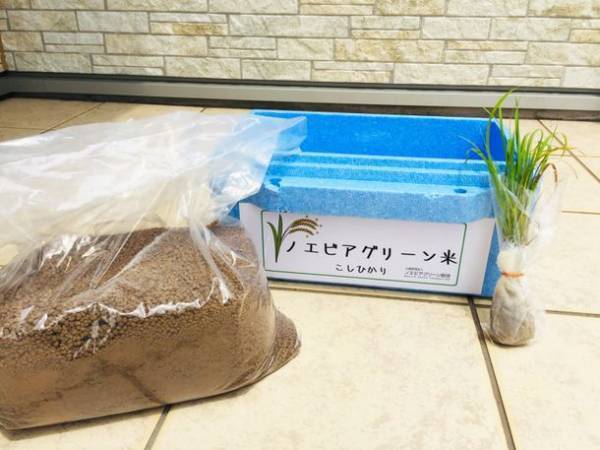 “おうち”で自然を学ぼう！「未来につながる環境教室」　小学生対象・「米作り挑戦者」募集のお知らせ