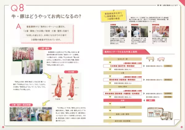 お肉はどうやって食卓にとどくの？食肉の生産・流通、栄養、おいしさ、安全性などの素朴な疑問に答える食育冊子「お肉の食育Q＆A」を刊行