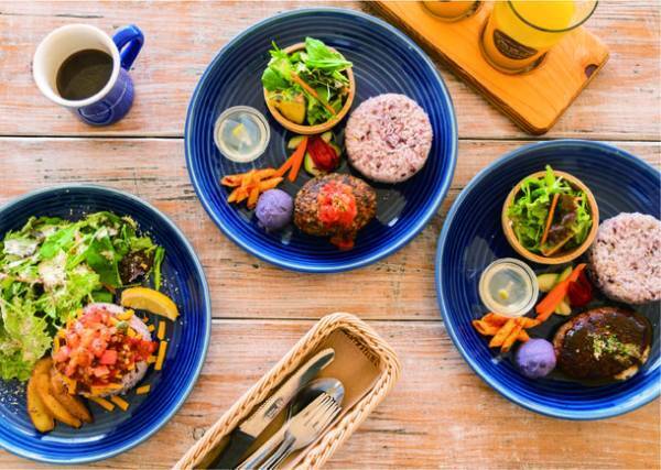 宮古島の「島cafeとぅんからや」は、宮古ブルーの絶景BBQエリアを新設して2023年春、新しくなります！Brand New Tunkaraya！