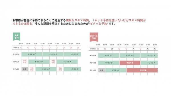 トリミングサロン向け新サービス 予約管理システム「ONE HOME PLUS DX」を4月3日に提供開始　～人にも動物にも優しい店舗をサポートするために～