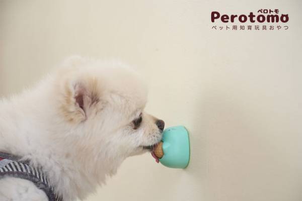 ペット用知育玩具おやつ「Perotomoペロトモ」　4月2日まで開催のインターペット2023に出展　ブース内でプレゼントキャンペーンも実施！