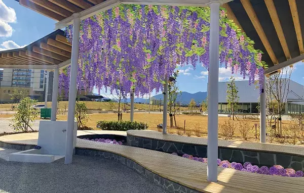 日本一の直線距離を誇る藤棚モチーフの足湯などが登場！嬉野温泉駅前でイベント「うれしの はなまるく」開催！