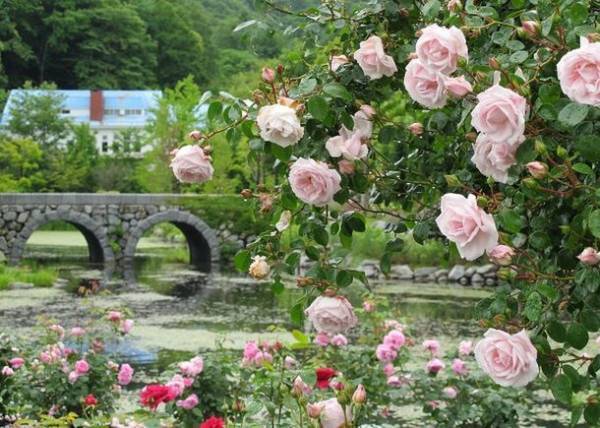 「自然を愛するすべての人へ」2023年の開園期間は　4月21日(金)～11月5日(日)となります。ご来園、心よりお待ちしております。