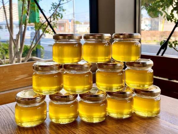 工学院大学で採れたハチミツ入りオリジナルビールを「KEIO　春のビールまつり」で500本限定販売(4月20日～23日開催)