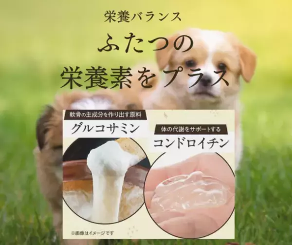 「博多華味鳥」が手掛ける【プレミアムドッグフードうまか】が2023年3月に販売累計1,700万食突破