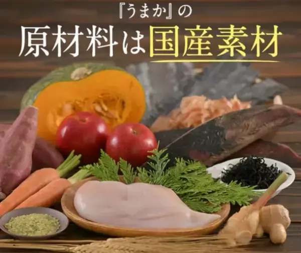 「博多華味鳥」が手掛ける【プレミアムドッグフードうまか】が2023年3月に販売累計1,700万食突破