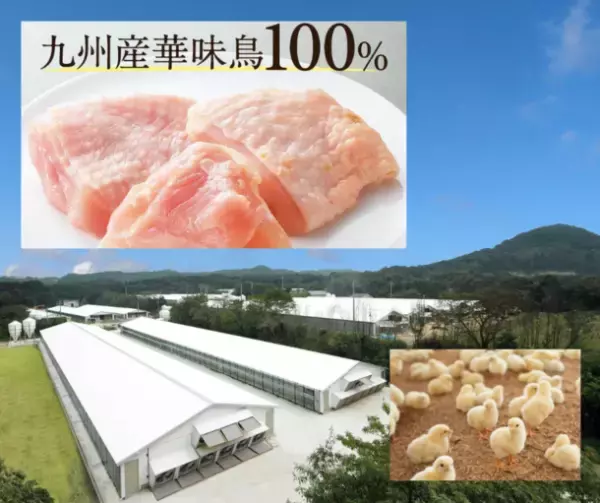 「博多華味鳥」が手掛ける【プレミアムドッグフードうまか】が2023年3月に販売累計1,700万食突破
