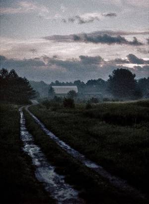 新進気鋭の写真家Louis,T Sugawaによる写真展「KASUMI かすみ」代官山シソンギャラリーにて開催