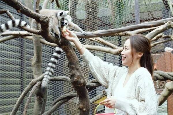 キリンと一緒に朝食を楽しめるプランを再開【動物園×グランピングのTHE BAMBOO FOREST】