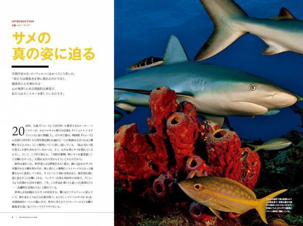 『真説・サメ　謎に満ちたすごい生態』3月31日（金）発売！