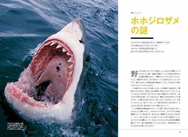 『真説・サメ　謎に満ちたすごい生態』3月31日（金）発売！