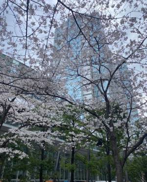 LULUNA新オフィス『移転のお知らせ』