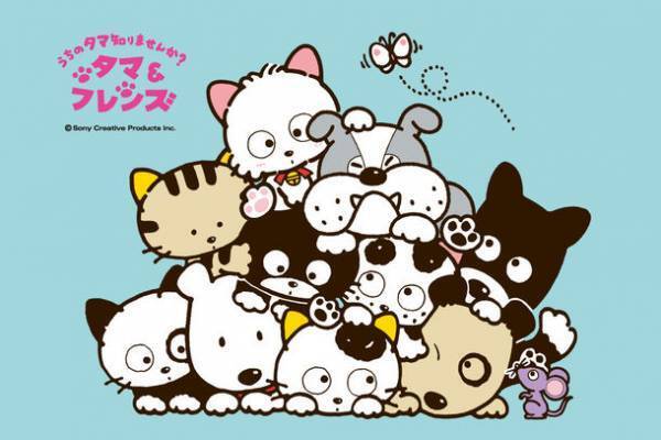 「タマ＆フレンズ～うちのタマ知りませんか？～」40周年を記念して、3月31日(金)からオフィシャルTikTok期間限定オープン！