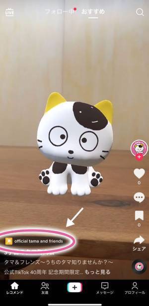 「タマ＆フレンズ～うちのタマ知りませんか？～」40周年を記念して、3月31日(金)からオフィシャルTikTok期間限定オープン！