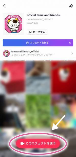 「タマ＆フレンズ～うちのタマ知りませんか？～」40周年を記念して、3月31日(金)からオフィシャルTikTok期間限定オープン！