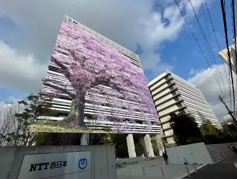 ＮＴＴ西日本、ビーブリッジとの実証実験「京橋まちなかＡＲミュージアム」第２弾企画「京橋まちなかＡＲさくら祭り」を3月28日（火）からスタートします