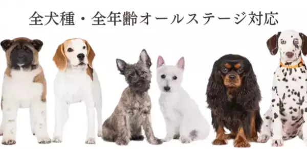 「博多華味鳥」が手掛けるドッグフード『やわか』が2023年3月に販売累計100万食突破