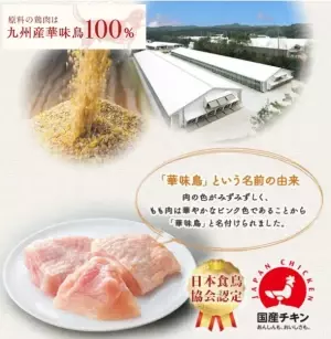「博多華味鳥」が手掛けるドッグフード『やわか』が2023年3月に販売累計100万食突破