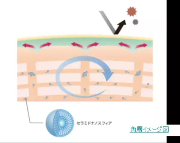 今年、花粉症デビューした人＜必見＞　意外と知らない肌トラブルとの関係　花粉シーズンを心地よく過ごすためのスキンケア4か条をご紹介
