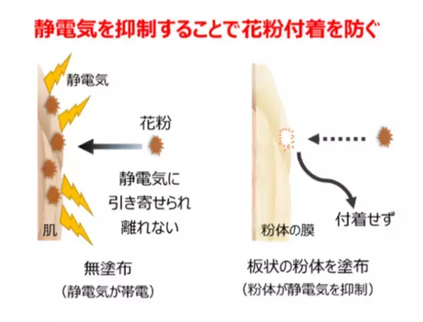 今年、花粉症デビューした人＜必見＞　意外と知らない肌トラブルとの関係　花粉シーズンを心地よく過ごすためのスキンケア4か条をご紹介