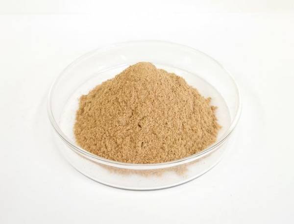 鳥の羽根「フェザー」を原料にした新しいバイオ素材『ReFEZER』を開発