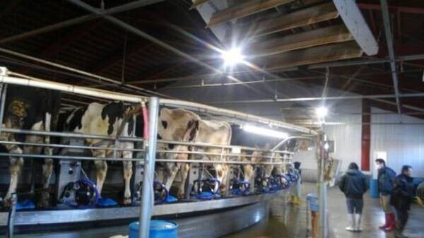 [北海道]人と動物にも優しい次亜塩素酸水溶液で感染防止！畜産施設の除菌作業受付を5月より開始