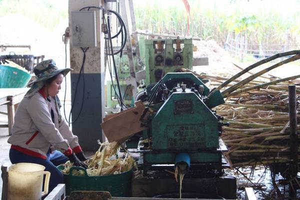 4/15(土)～16(日) 代々木公園で開催のエコやオーガニックに根ざしたイベント「earth garden“春”2023」にバオバブスキンケアとクラフトラム酒が共同出店