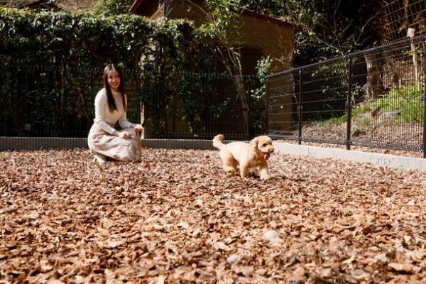 大阪市内から移動時間をかけずに愛犬(小型犬)とお泊り温泉旅行　伏尾温泉「不死王閣」から『愛犬と一緒に泊まれる客室』が誕生！