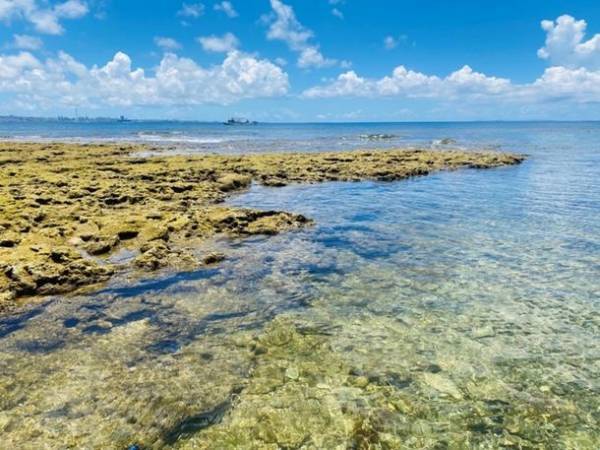 アメリカンビレッジまで最短45分の直行便　那覇空港～北谷町を結ぶ『北谷エアポートエクスプレス』が便数を大幅増の新体制に