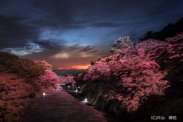 長崎「雲仙仁田峠プレミアムナイト 2023年春」5月11日～5月14日に開催決定