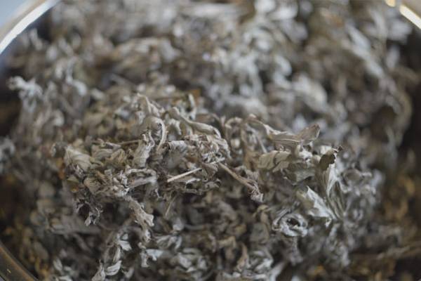 オーガニックコットンを使用した新商品の坐蒲「organicシリーズ よもぎ(草木染)」を4/10に発売！