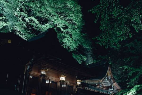 京都「貴船神社」にて新緑ライトアップを5月3日から開催　～境内一帯が約三千本の青もみじに包まれる新緑の名所～